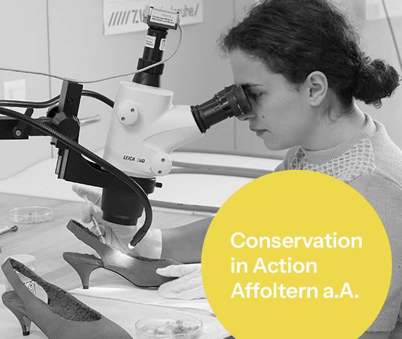 Swiss CRC, European Day of Restoration, Conservation in Action