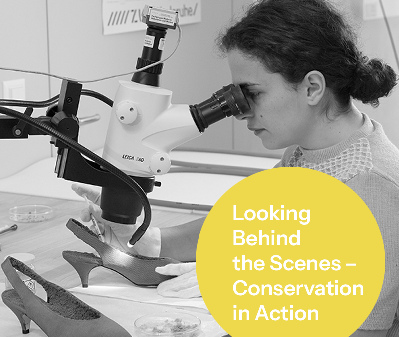 Swiss CRC, Conservation in Action