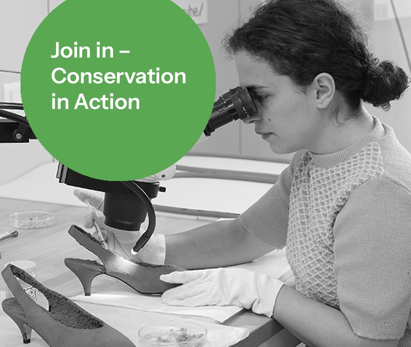 Swiss CRC, European Day of Restoration, Conservation in Action