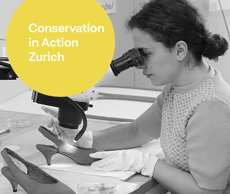 Swiss CRC, European Day of Restoration, Conservation in Action